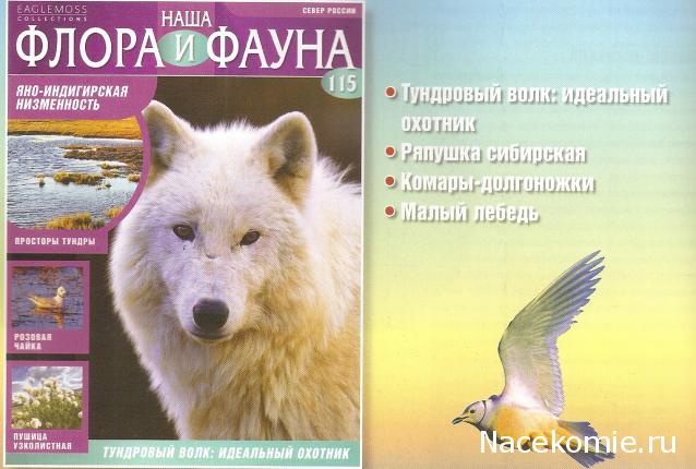 Наша Флора и Фауна - журнал (Eaglemoss)