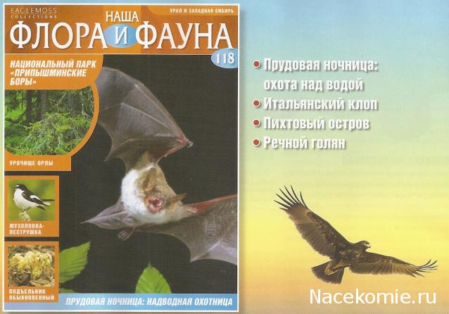 Наша Флора и Фауна - журнал (Eaglemoss)