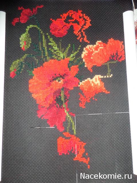 100 крестиков!