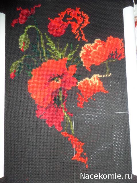 100 крестиков!