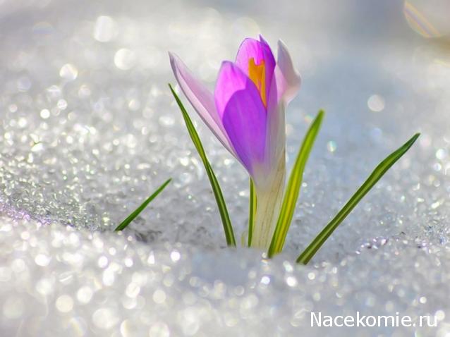 wangels  Имение Рапти - реконструкция мечты!