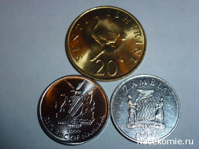 Монеты и купюры мира №120 5 центов (Намибия), 20 центов (Танзания), 25 нгве (Замбия)