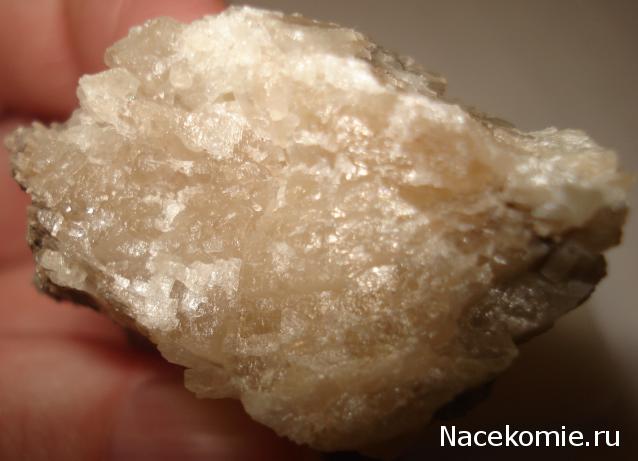 Минералы Сокровища Земли №87 - Колеманит