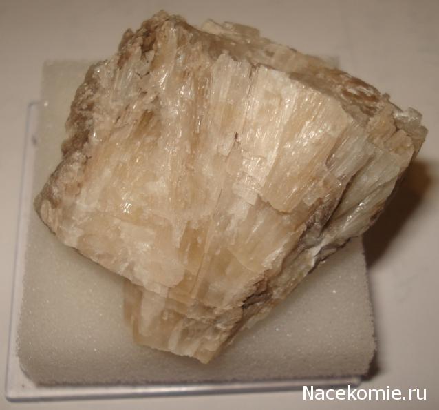 Минералы Сокровища Земли №87 - Колеманит