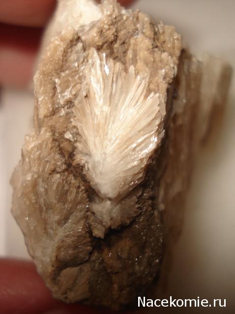 Минералы Сокровища Земли №87 - Колеманит