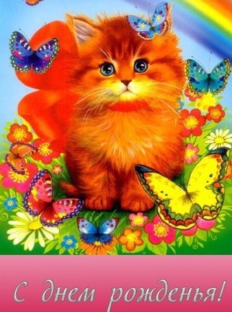 Caracal, строительство в разгаре