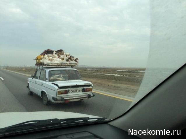 Болталка АЛ и АНС
