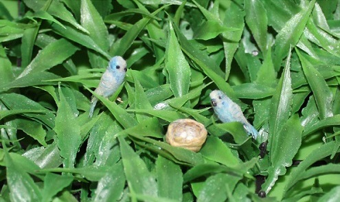 Дом Мечты. Аксессуары и мебель своими руками часть 2