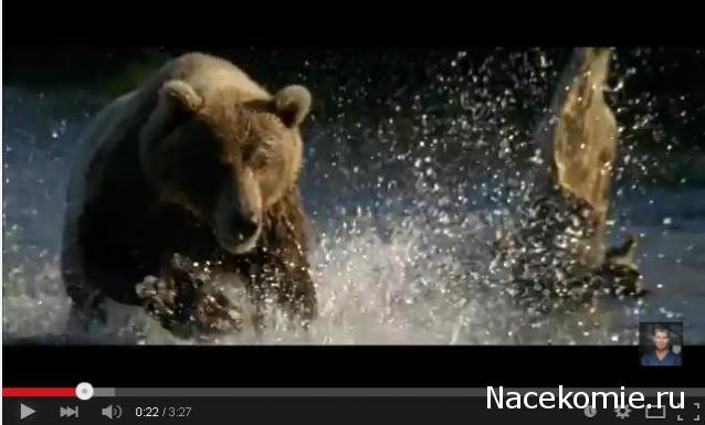 Железная Дорога в Миниатюре - Болталка