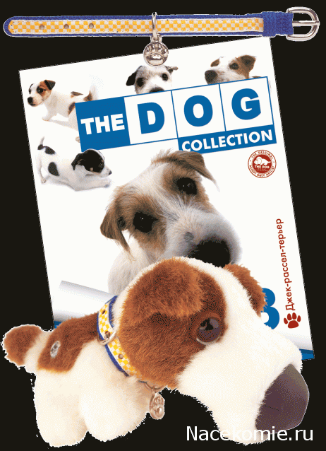 The Dog Collection 2015 - График Выхода и обсуждение