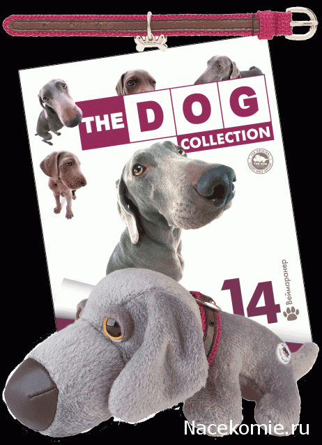 The Dog Collection 2015 - График Выхода и обсуждение