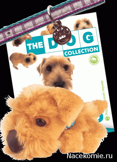 The Dog Collection 2015 - График Выхода и обсуждение