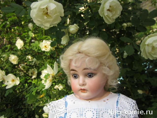 Куклы из наших коллекций №3. Авторские, антикварные, BJD куклы