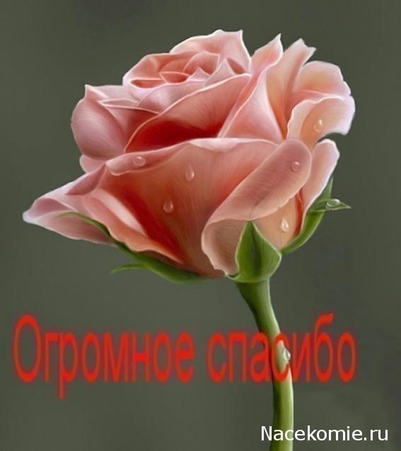 Наши Дни Рождения