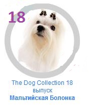 The Dog Collection №18 - Мальтийская болонка