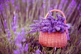 repLIka - Лучше поздно, чем никогда