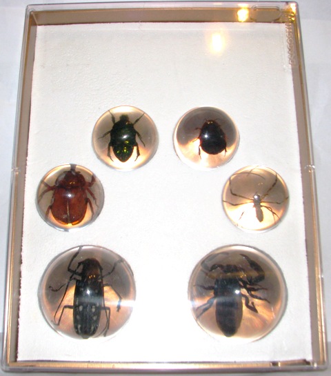 Чудеса Природы хранение журналов и коллекции