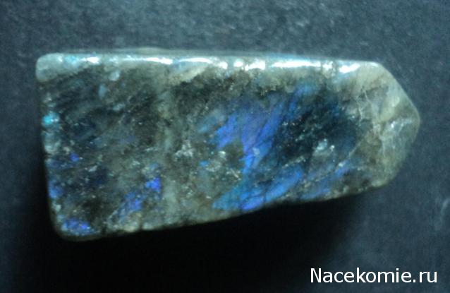 Энергия Камней №39 - Лабрадор