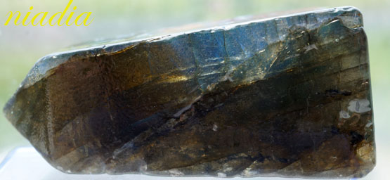 Энергия Камней №39 - Лабрадор