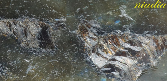 Энергия Камней №39 - Лабрадор