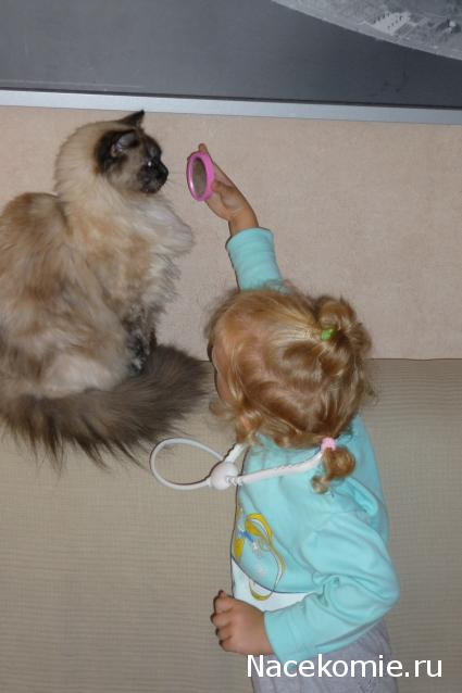 july-Жил-был дом