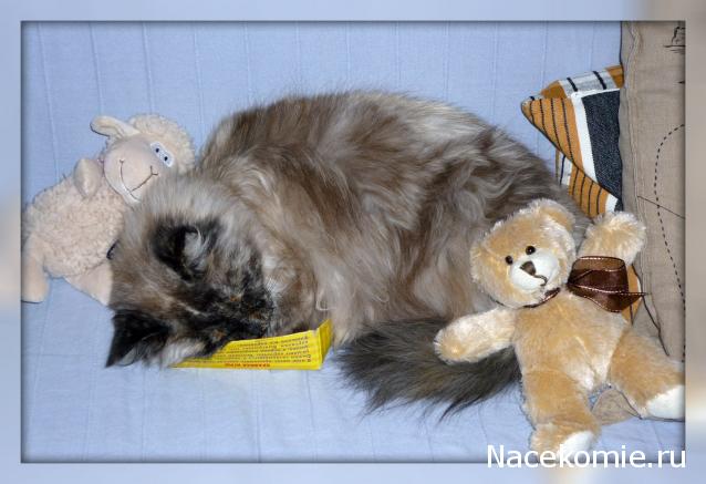 july-Жил-был дом