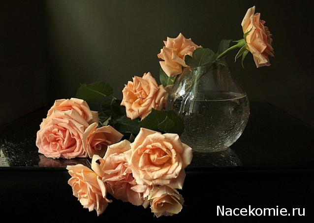 Uta - Бесконечная история...