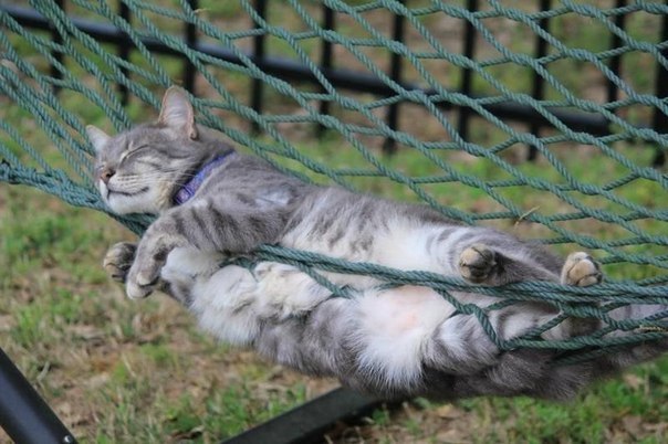 Дом Мечты Болталка: перезагрузка