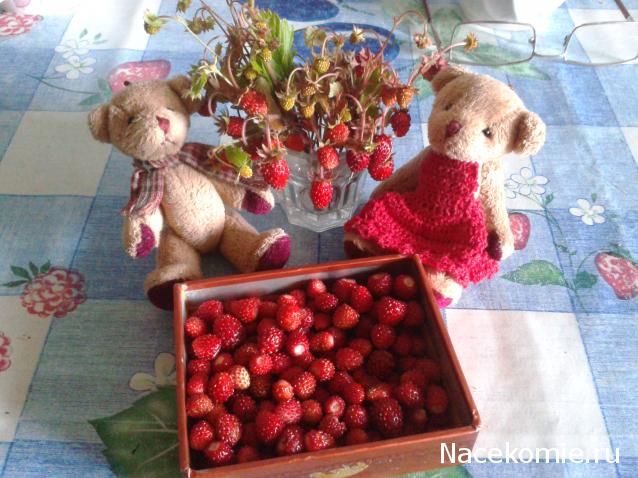 Annushka84 - Домик для медведей и кое-что еще