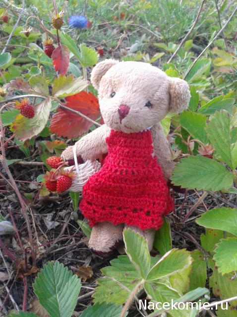 Annushka84 - Домик для медведей и кое-что еще