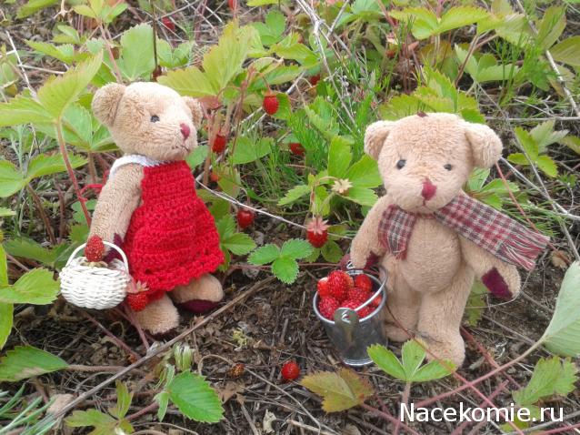 Annushka84 - Домик для медведей и кое-что еще