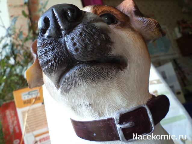 somnambyla-Дом моего сердца.