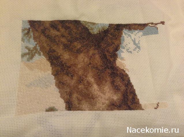 100 крестиков!