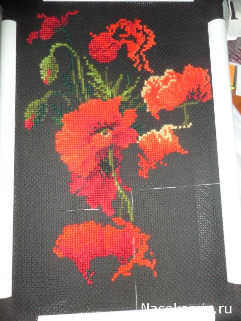 100 крестиков!