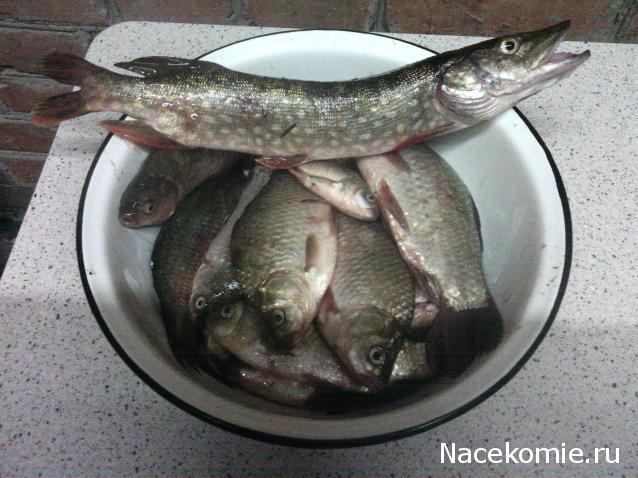 leonidovna - Ниша мечты