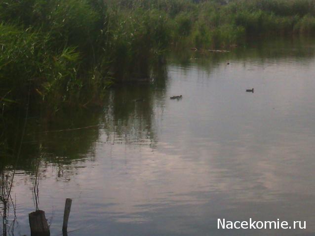 leonidovna - Ниша мечты