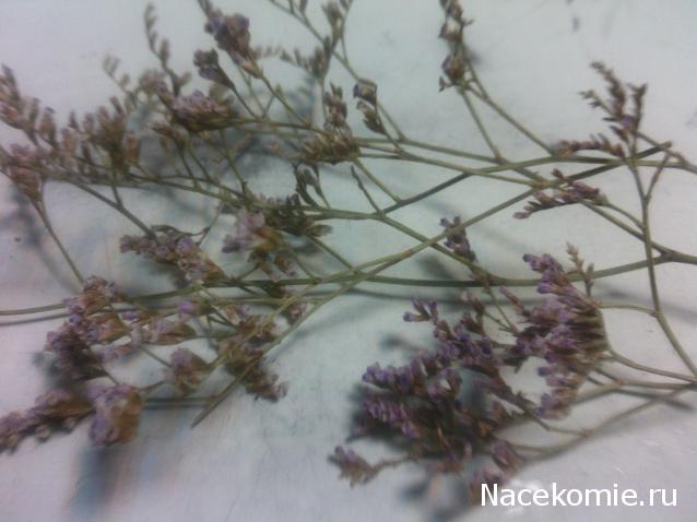 leonidovna - Ниша мечты