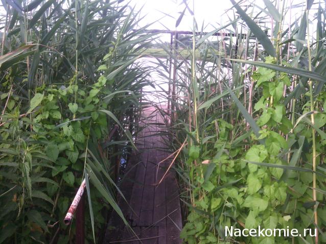 leonidovna - Ниша мечты