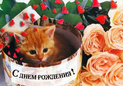 repLIka - Лучше поздно, чем никогда