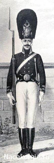 НВ: Прочие производители