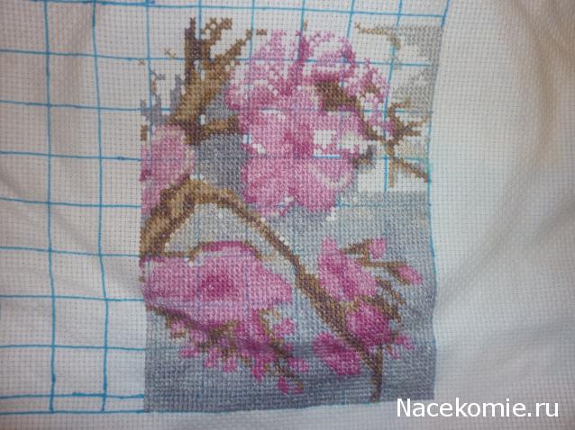 100 крестиков!