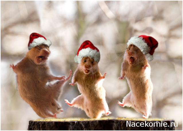 leonidovna - Ниша мечты