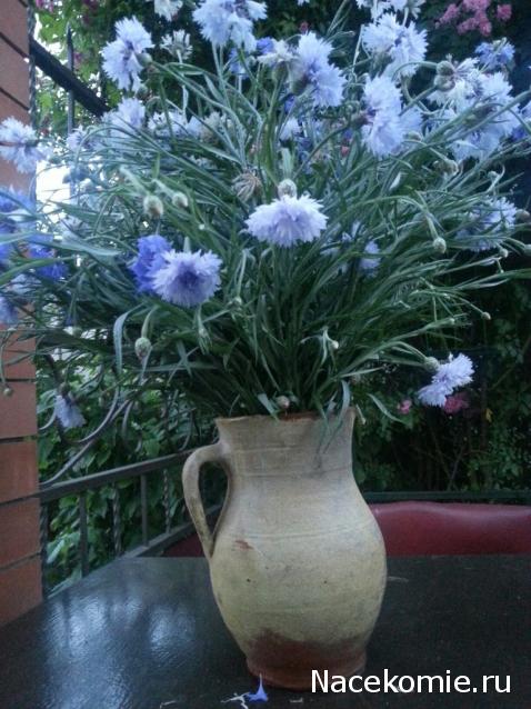 leonidovna - Ниша мечты