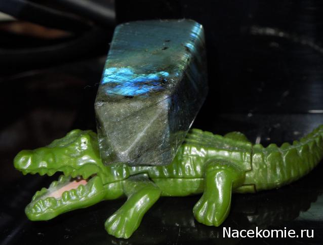 Энергия Камней №39 - Лабрадор