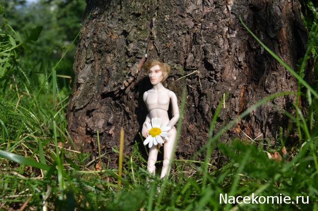 Sashka23 - Дом для реаликов или вечная переделка!