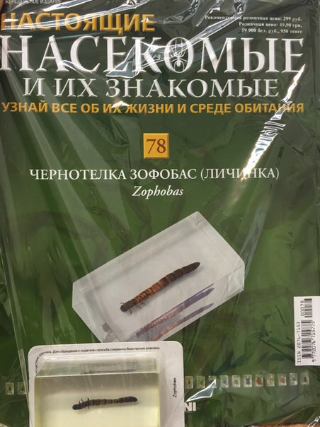 Насекомые и их знакомые 2014 - График Выхода и обсуждение