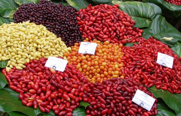 Минералы Сокровища Земли №96 - Сердолик