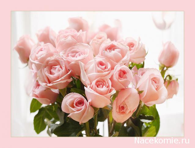 Наши Дни Рождения