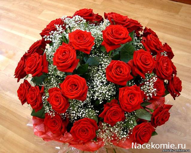 Дом Мечты наши дни рождения