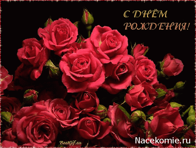 Наши Дни Рождения